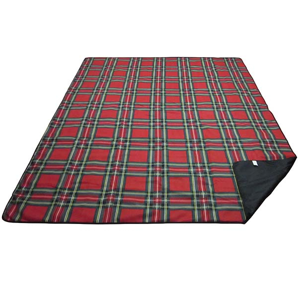picnic blanket in extra large size